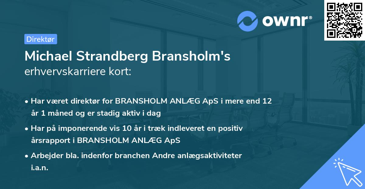 Michael Strandberg Bransholm's erhvervskarriere kort