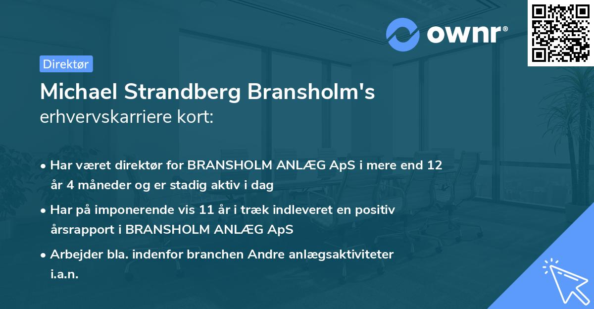 Michael Strandberg Bransholm's erhvervskarriere kort