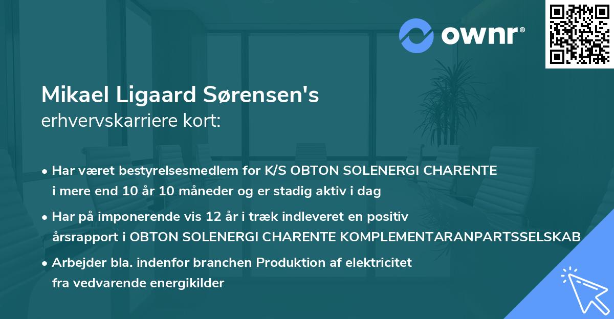 Mikael Ligaard Sørensen's erhvervskarriere kort