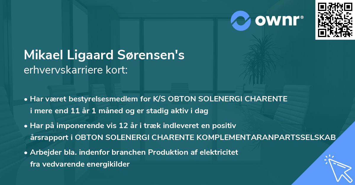 Mikael Ligaard Sørensen's erhvervskarriere kort