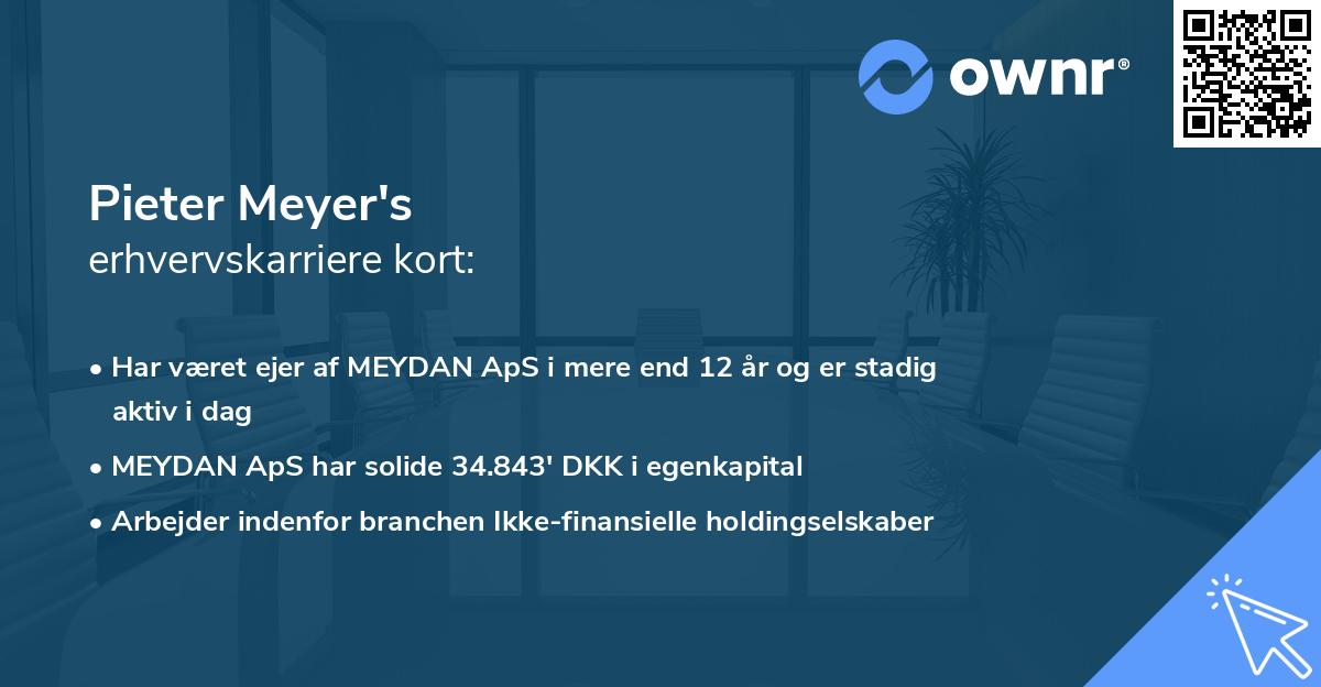 Pieter Meyer's erhvervskarriere kort