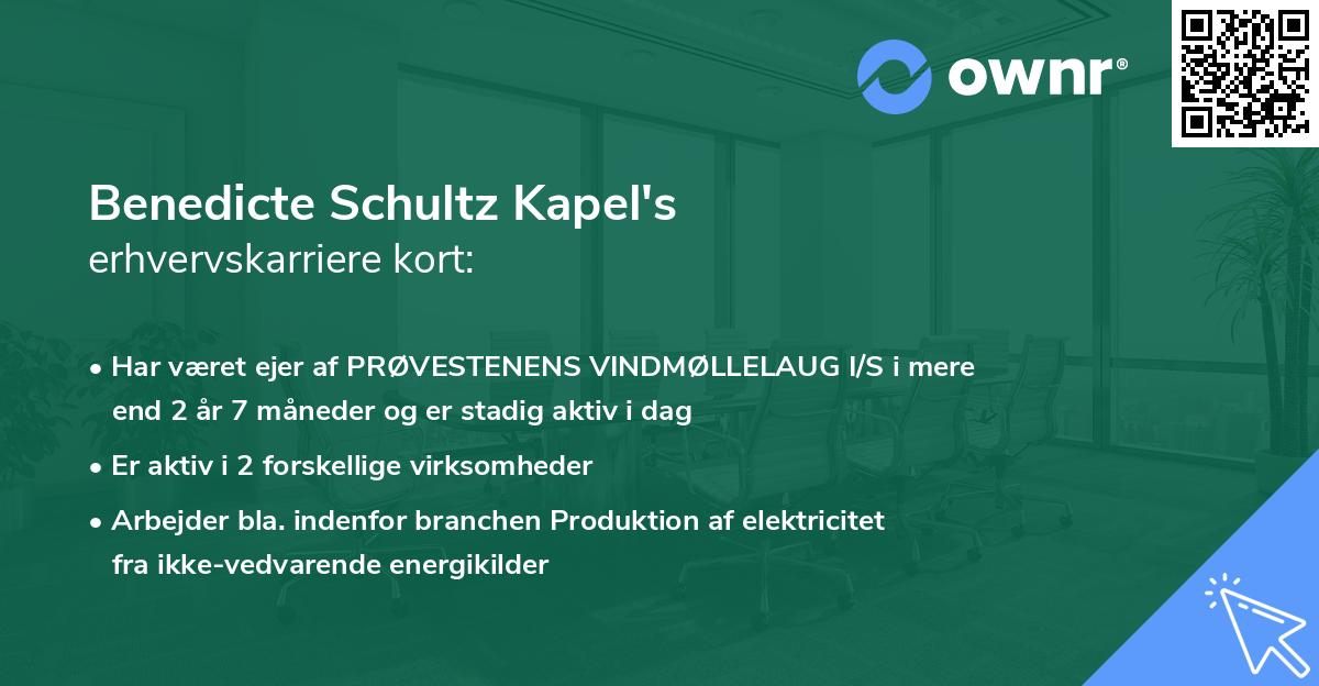 Benedicte Schultz Kapel's erhvervskarriere kort