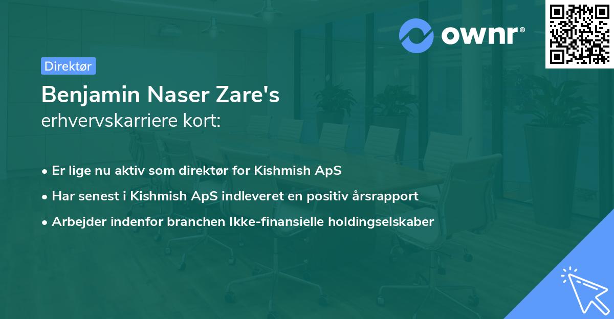 Benjamin Naser Zare's erhvervskarriere kort