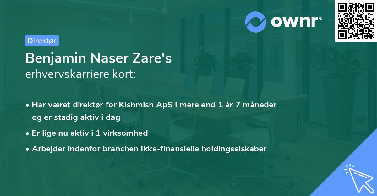 Benjamin Naser Zare's erhvervskarriere kort