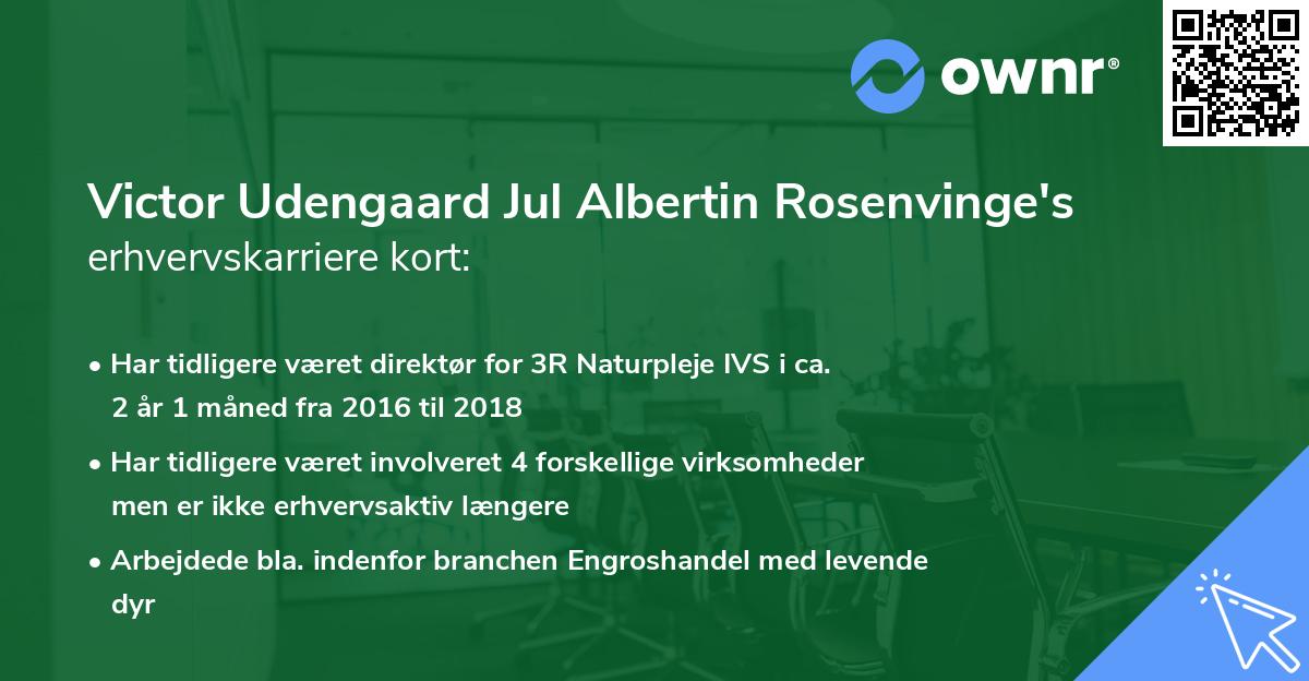 Victor Udengaard Jul Albertin Rosenvinge's erhvervskarriere kort