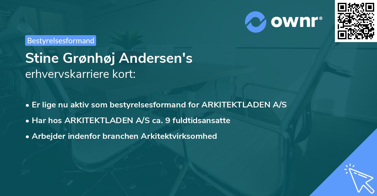 Stine Grønhøj Andersen's erhvervskarriere kort