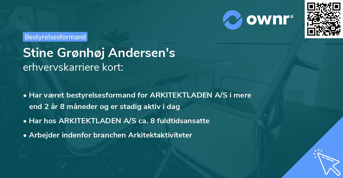 Stine Grønhøj Andersen's erhvervskarriere kort