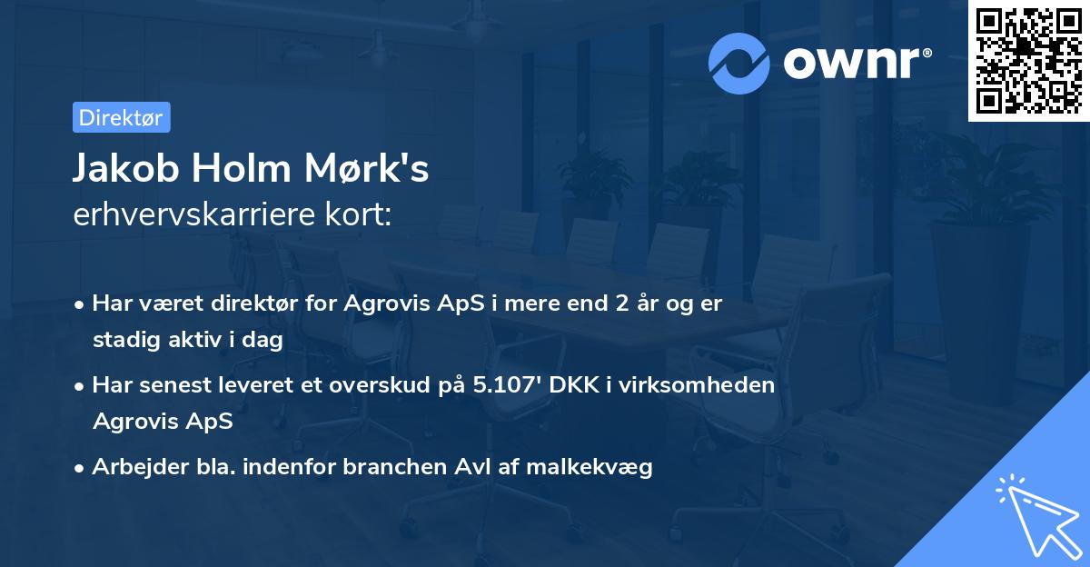 Jakob Holm Mørk's erhvervskarriere kort