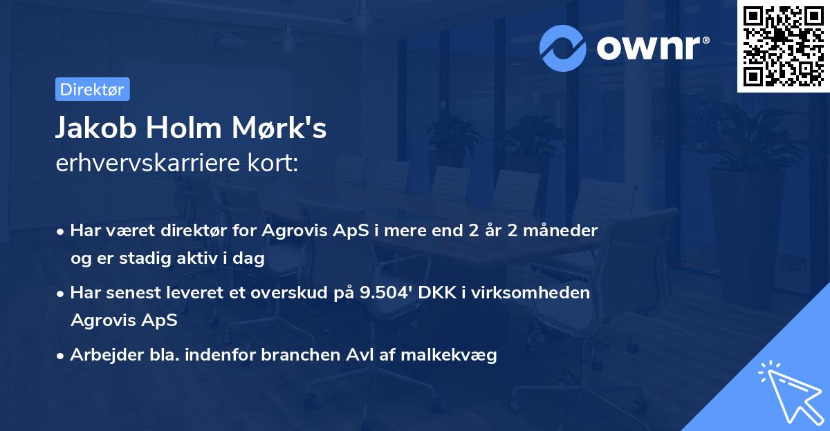 Jakob Holm Mørk's erhvervskarriere kort