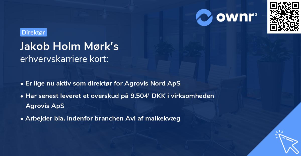 Jakob Holm Mørk's erhvervskarriere kort