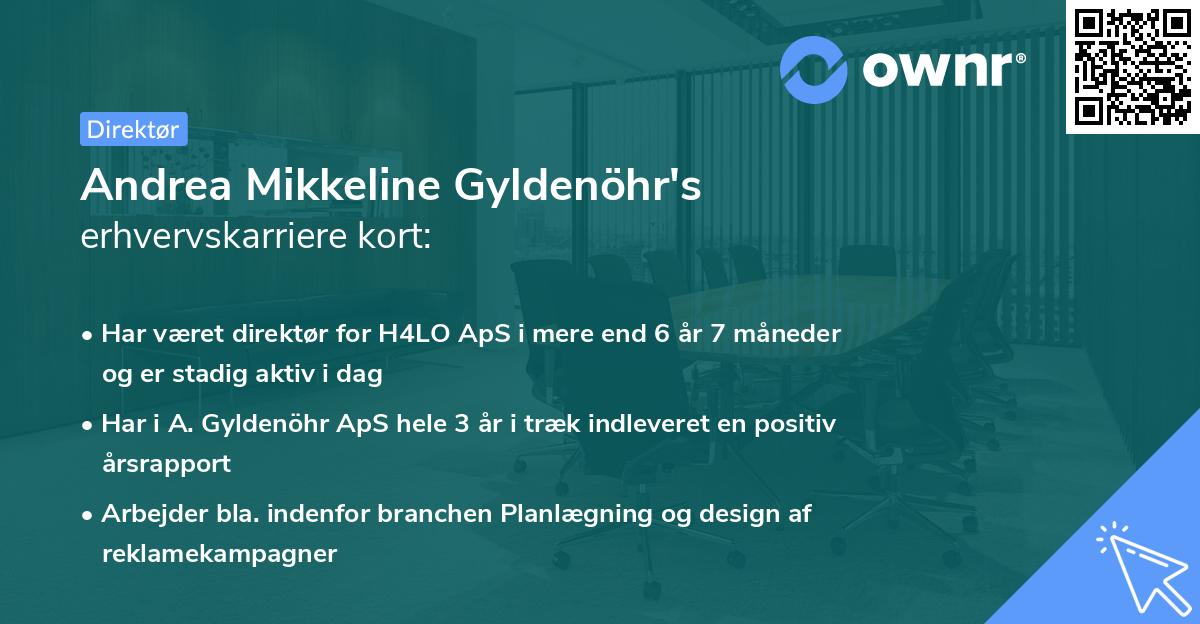 Andrea Mikkeline Gyldenöhr's erhvervskarriere kort