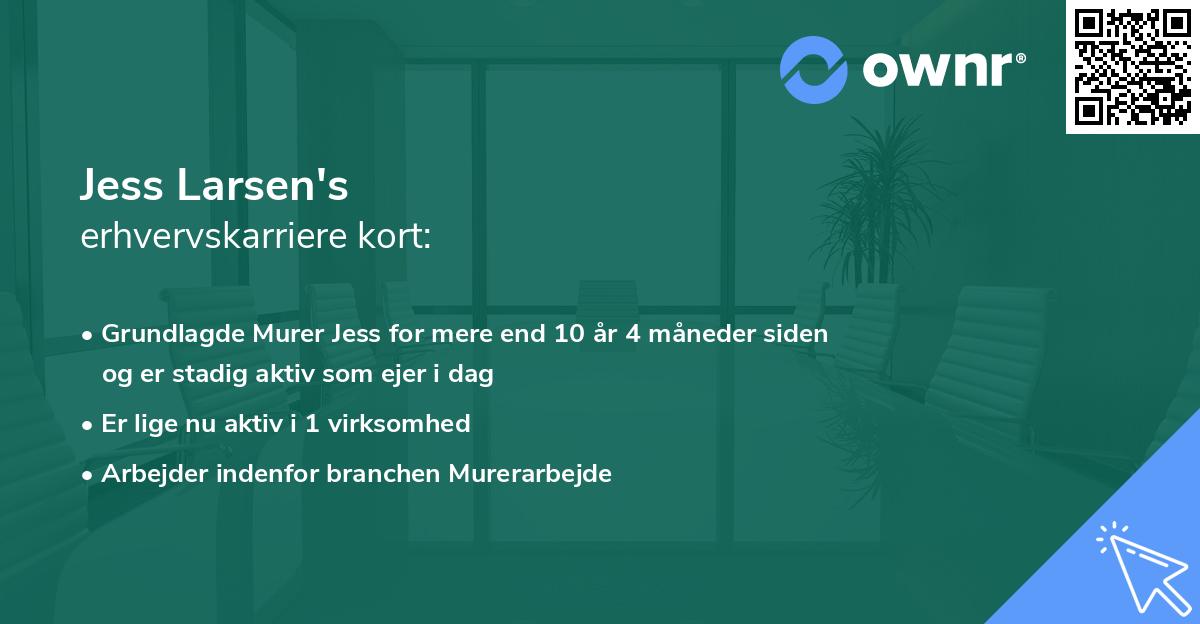 Jess Larsen's erhvervskarriere kort