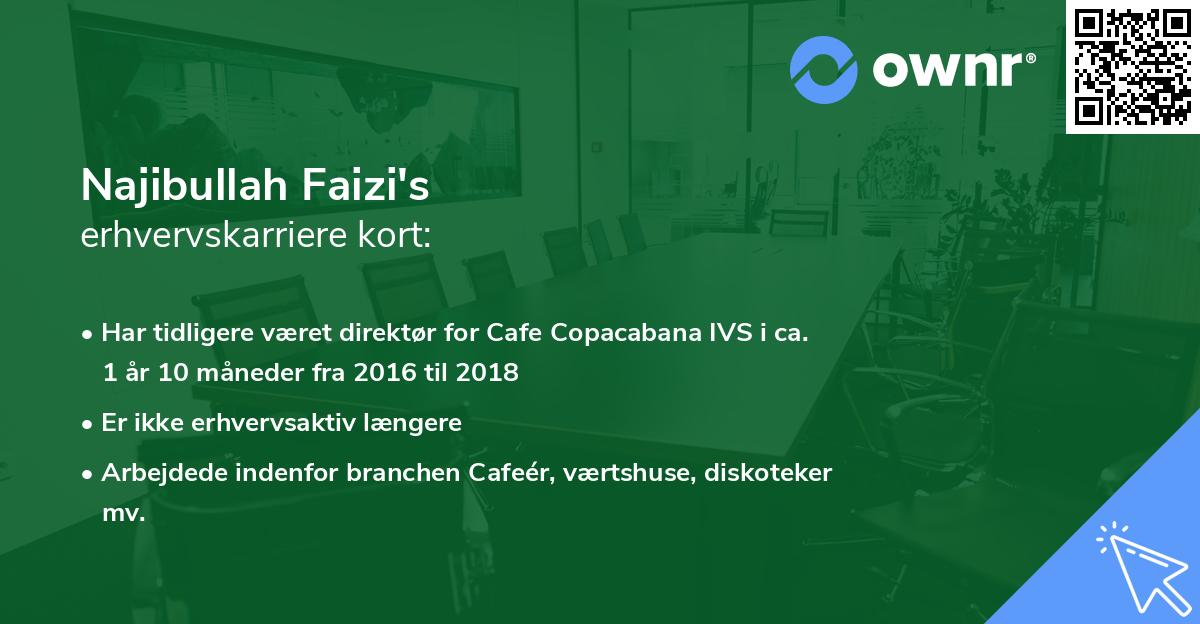 Najibullah Faizi's erhvervskarriere kort