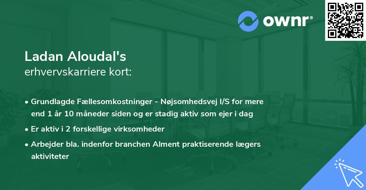 Ladan Aloudal's erhvervskarriere kort