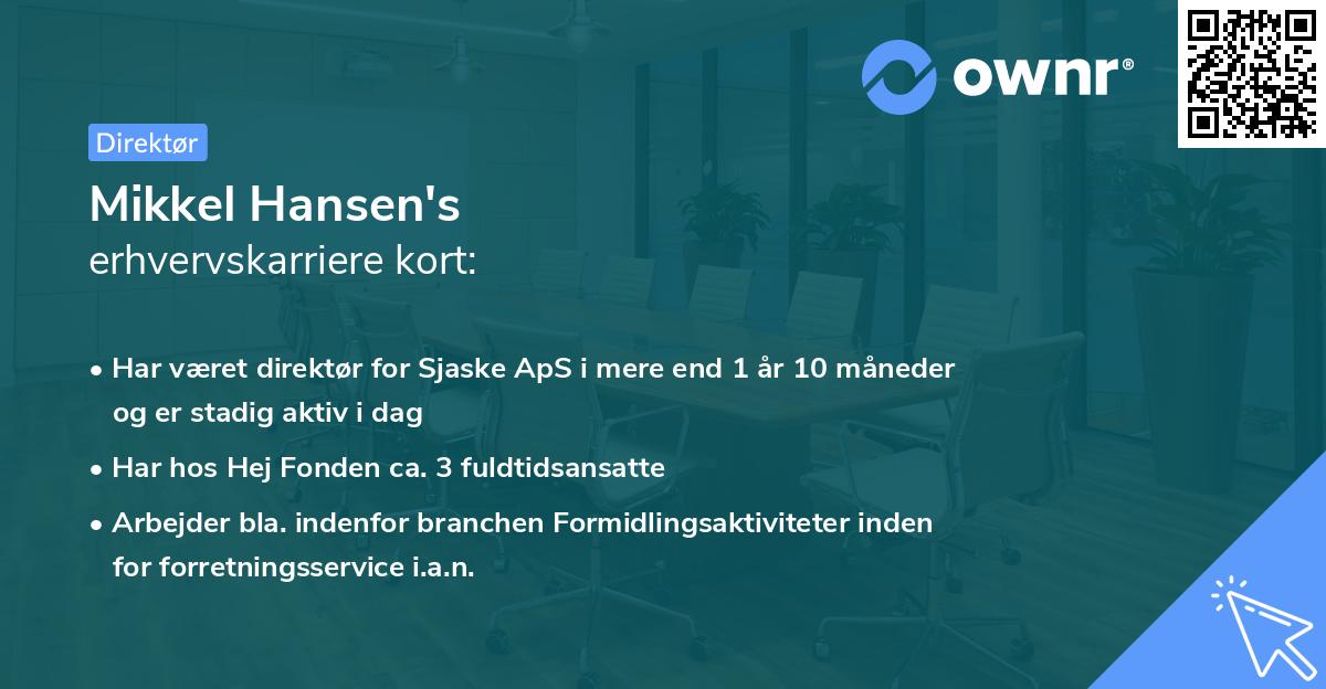 Mikkel Hansen's erhvervskarriere kort