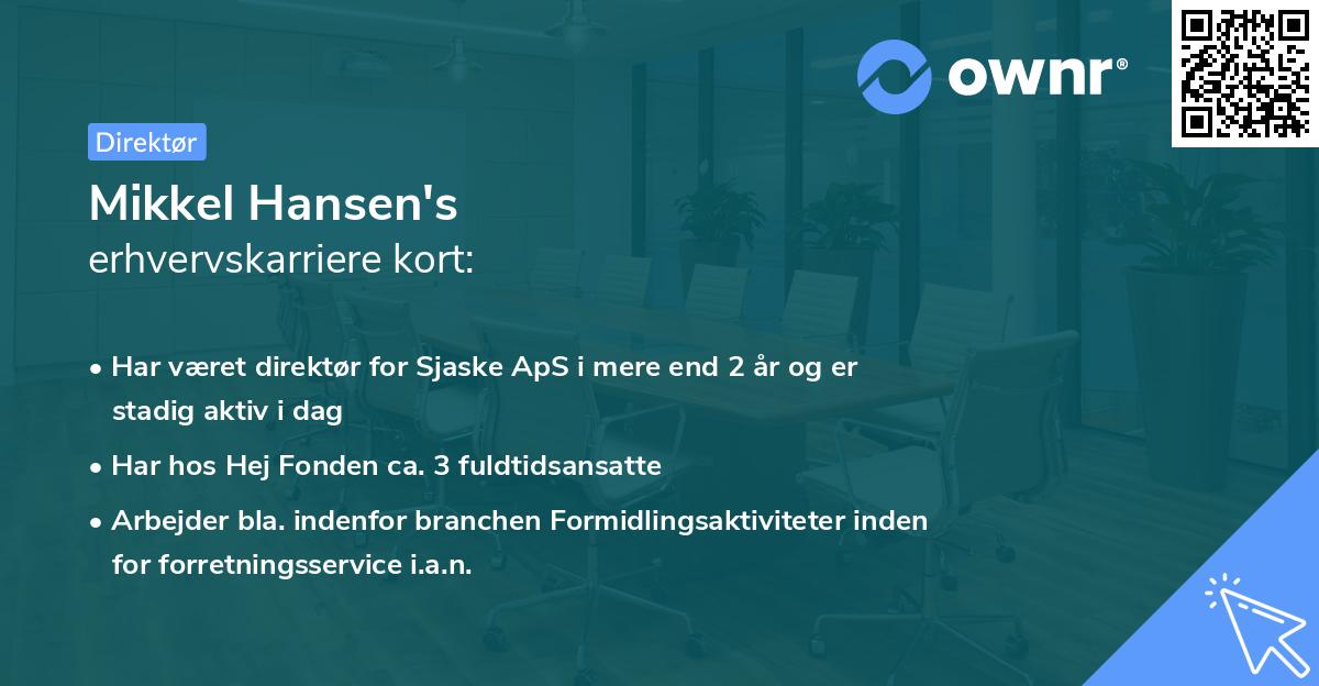 Mikkel Hansen's erhvervskarriere kort