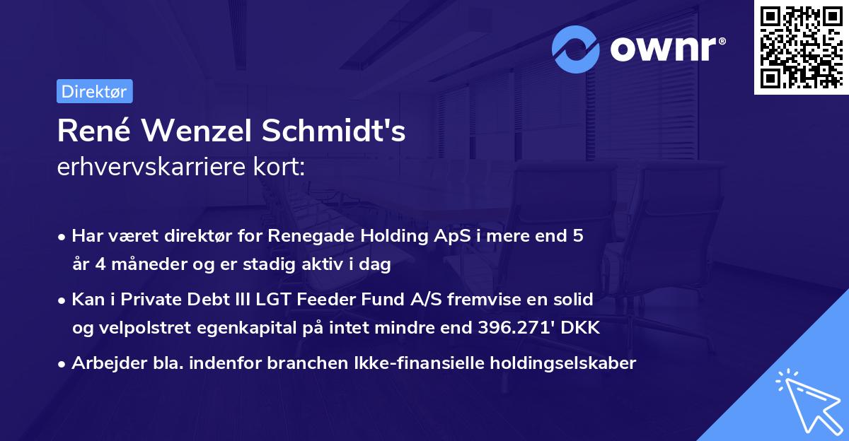 René Wenzel Schmidt's erhvervskarriere kort