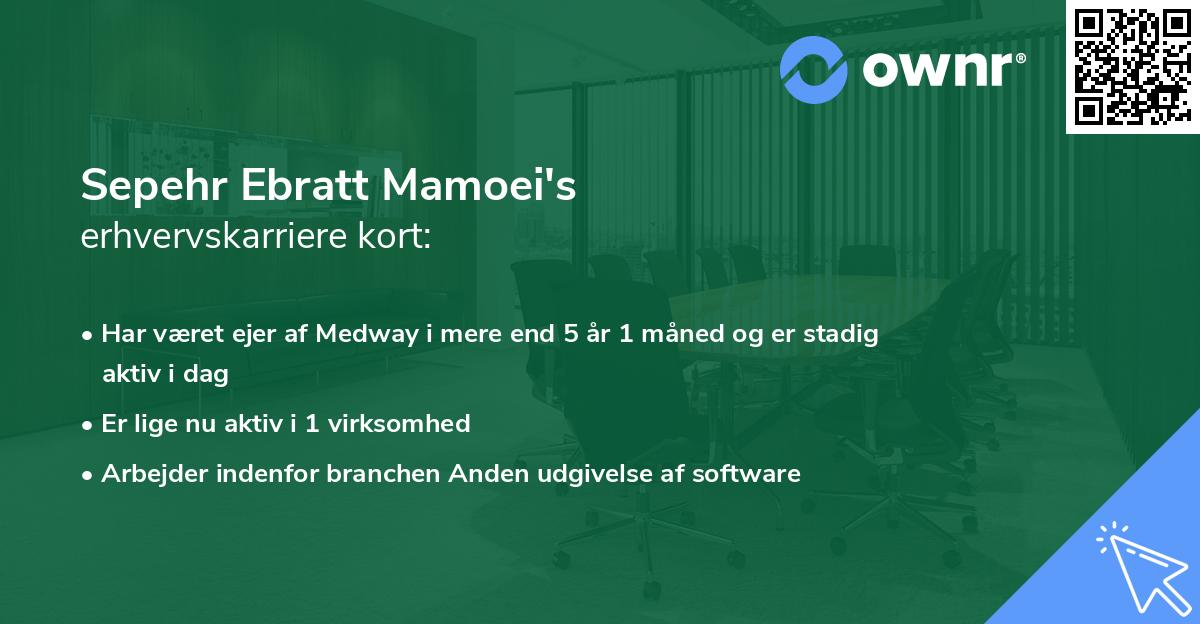 Sepehr Ebratt Mamoei's erhvervskarriere kort