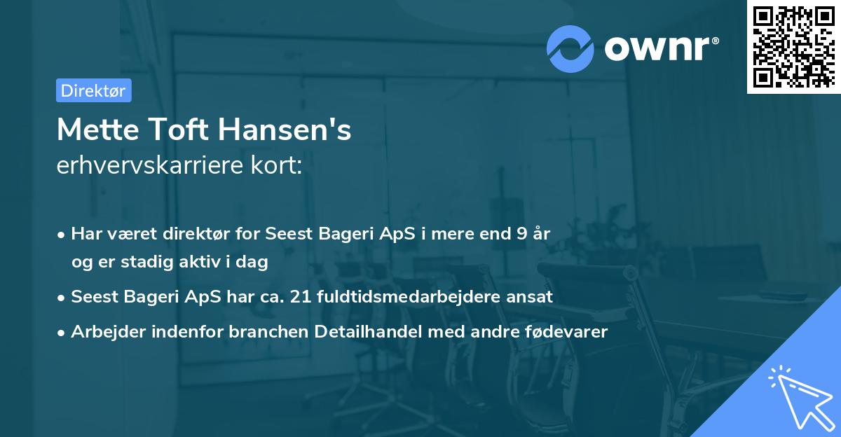 Mette Toft Hansen's erhvervskarriere kort