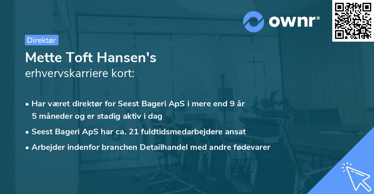 Mette Toft Hansen's erhvervskarriere kort