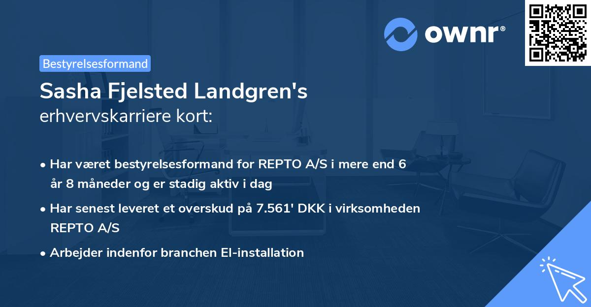 Sasha Fjelsted Landgren's erhvervskarriere kort