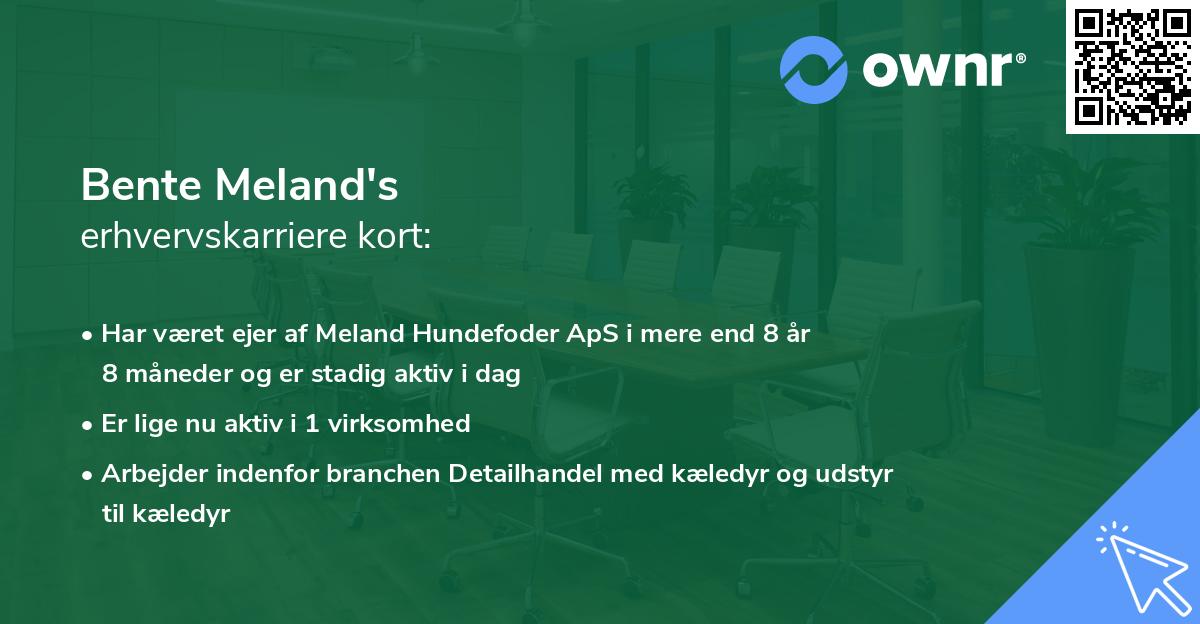 Bente Meland's erhvervskarriere kort