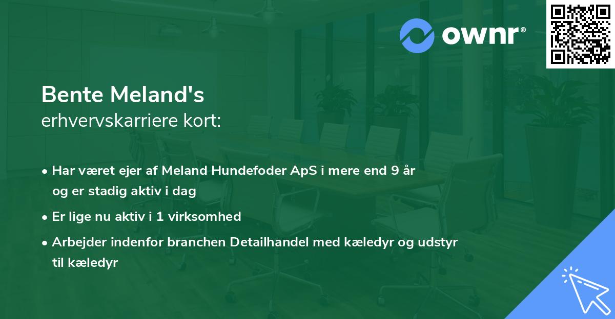 Bente Meland's erhvervskarriere kort