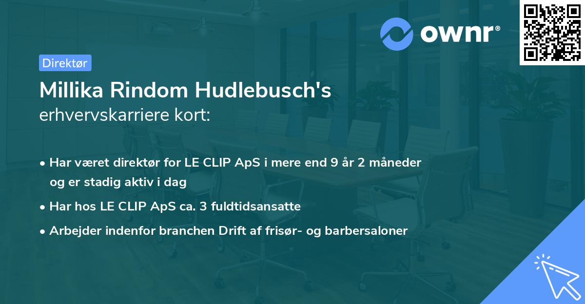 Millika Rindom Hudlebusch's erhvervskarriere kort
