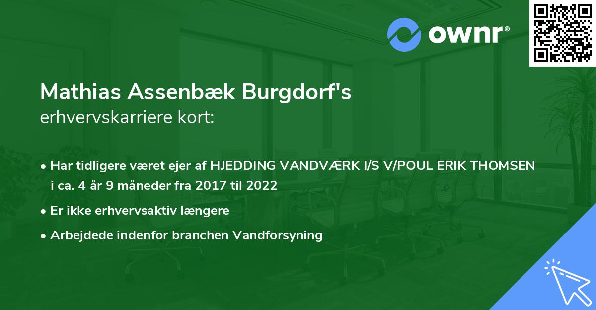Mathias Assenbæk Burgdorf's erhvervskarriere kort