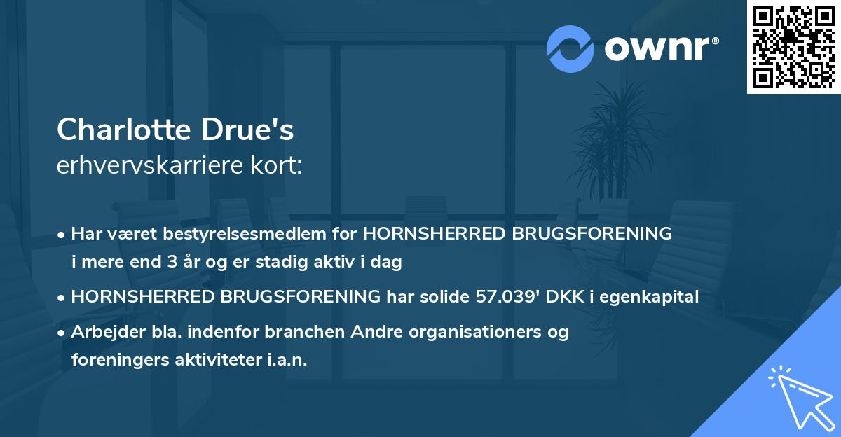 Charlotte Drue's erhvervskarriere kort
