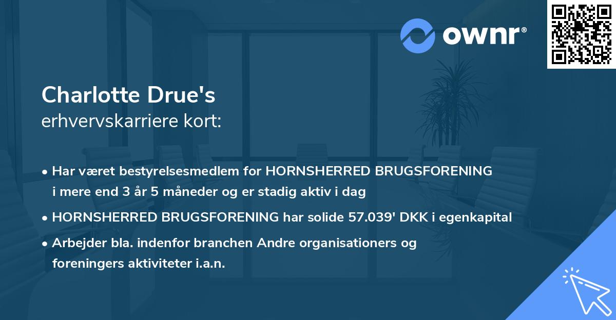 Charlotte Drue's erhvervskarriere kort