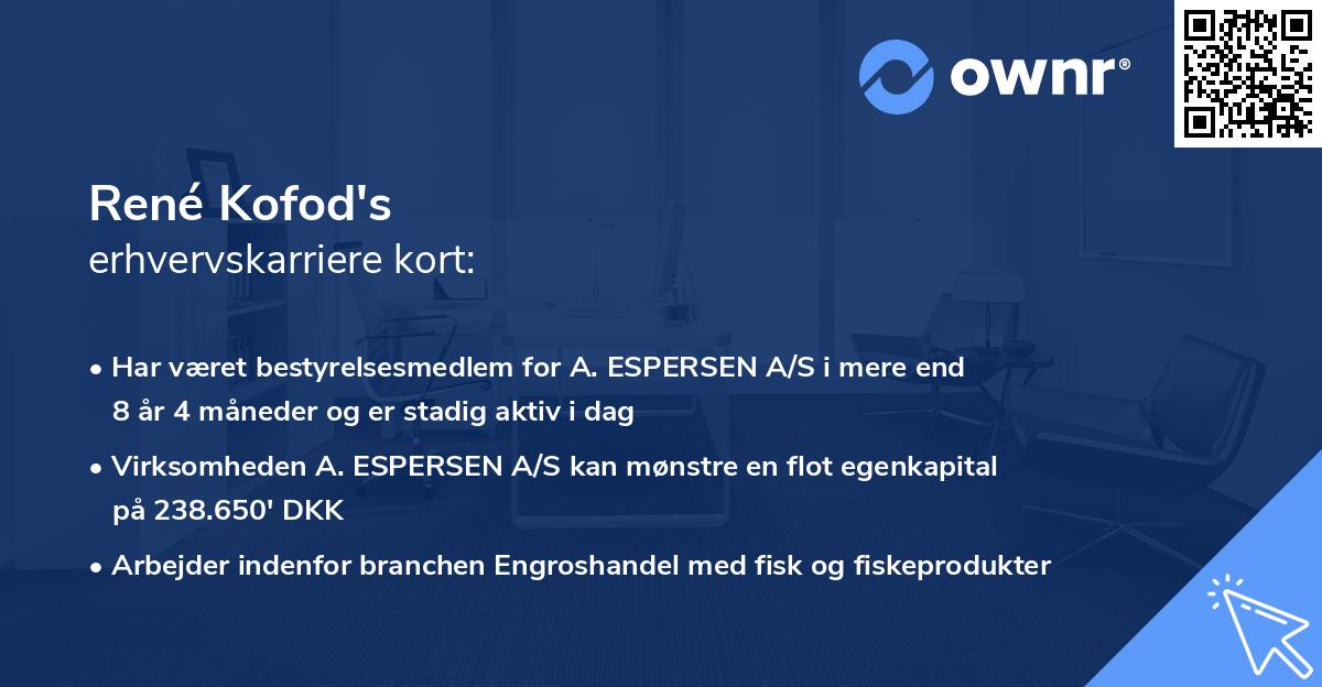 René Kofod's erhvervskarriere kort