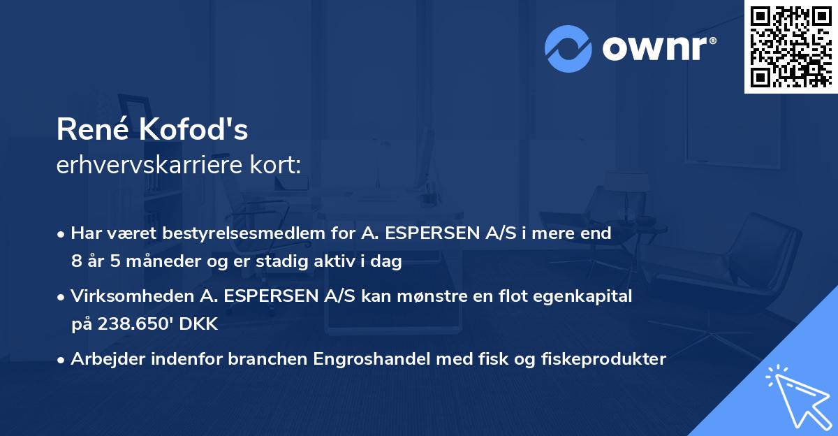 René Kofod's erhvervskarriere kort