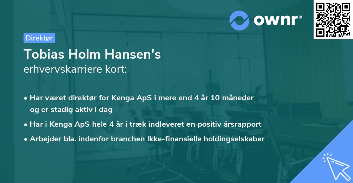 Tobias Holm Hansen's erhvervskarriere kort