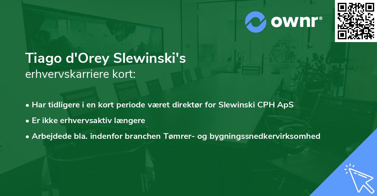 Tiago d'Orey Slewinski's erhvervskarriere kort