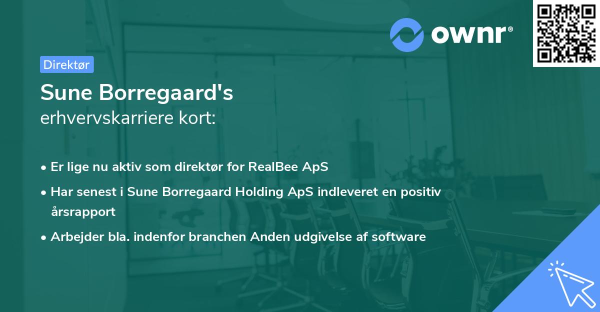 Sune Borregaard's erhvervskarriere kort