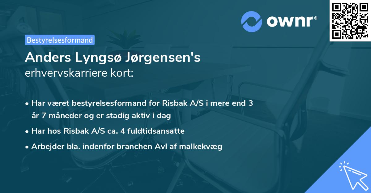 Anders Lyngsø Jørgensen's erhvervskarriere kort