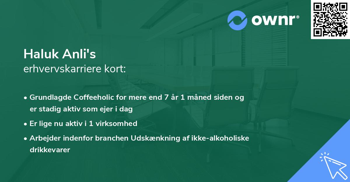 Haluk Anli's erhvervskarriere kort
