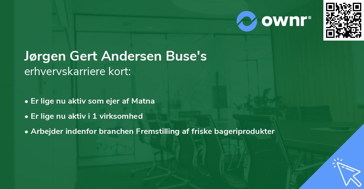 Jørgen Gert Andersen Buse's erhvervskarriere kort