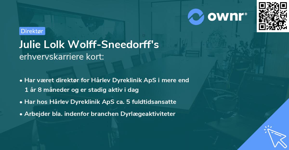 Julie Lolk Wolff-Sneedorff's erhvervskarriere kort