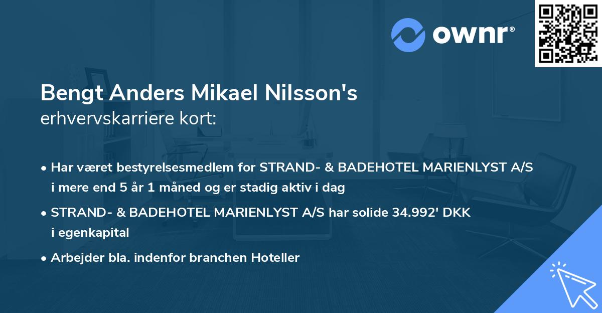 Bengt Anders Mikael Nilsson's erhvervskarriere kort