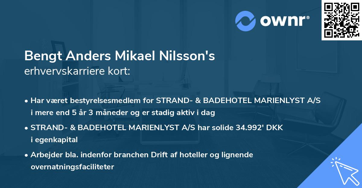 Bengt Anders Mikael Nilsson's erhvervskarriere kort