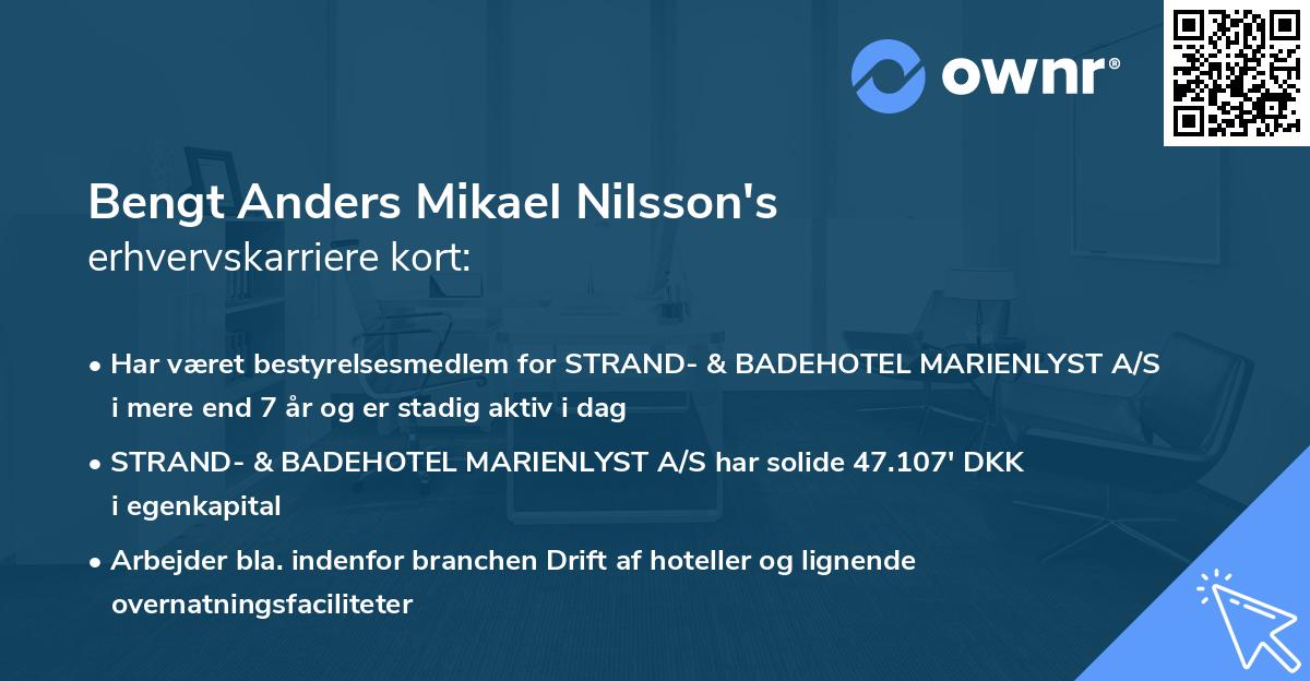 Bengt Anders Mikael Nilsson's erhvervskarriere kort
