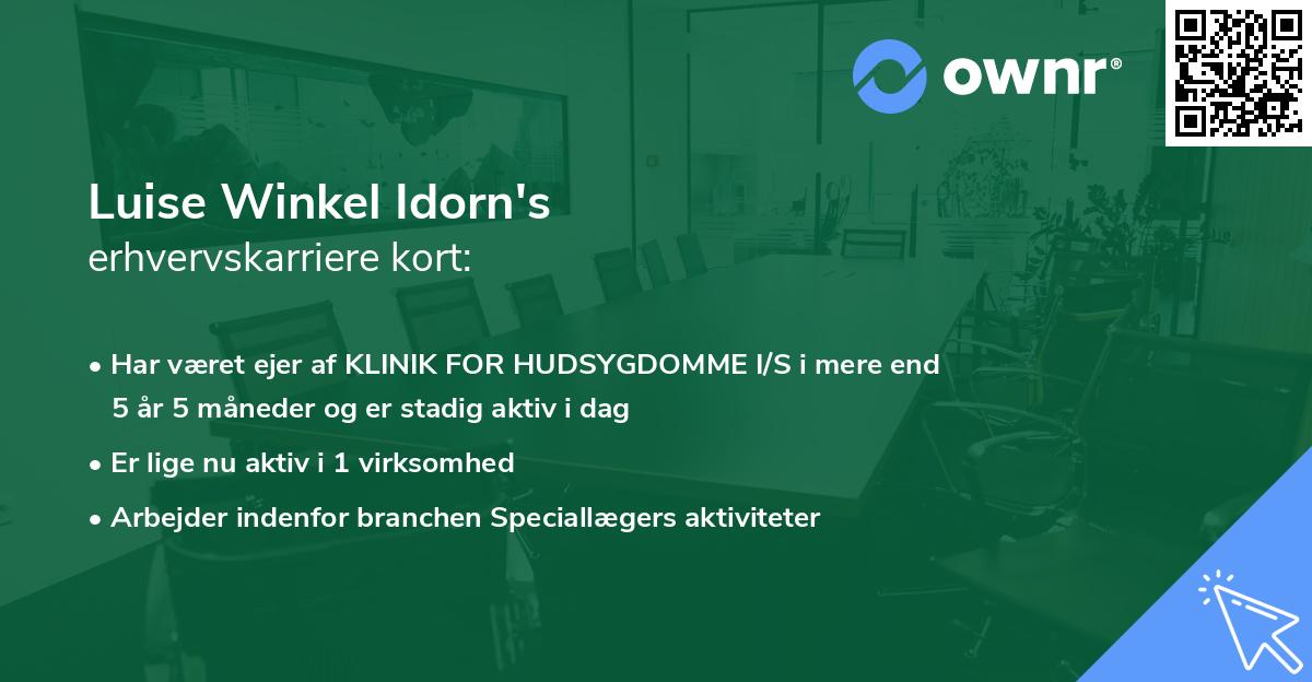 Luise Winkel Idorn's erhvervskarriere kort