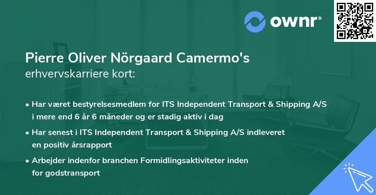 Pierre Oliver Nörgaard Camermo's erhvervskarriere kort