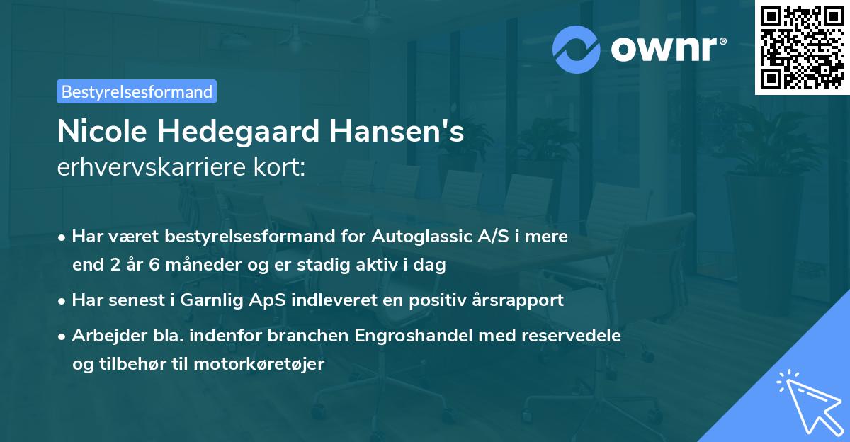 Nicole Hedegaard Hansen's erhvervskarriere kort