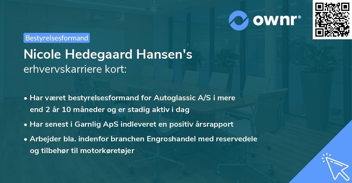 Nicole Hedegaard Hansen's erhvervskarriere kort