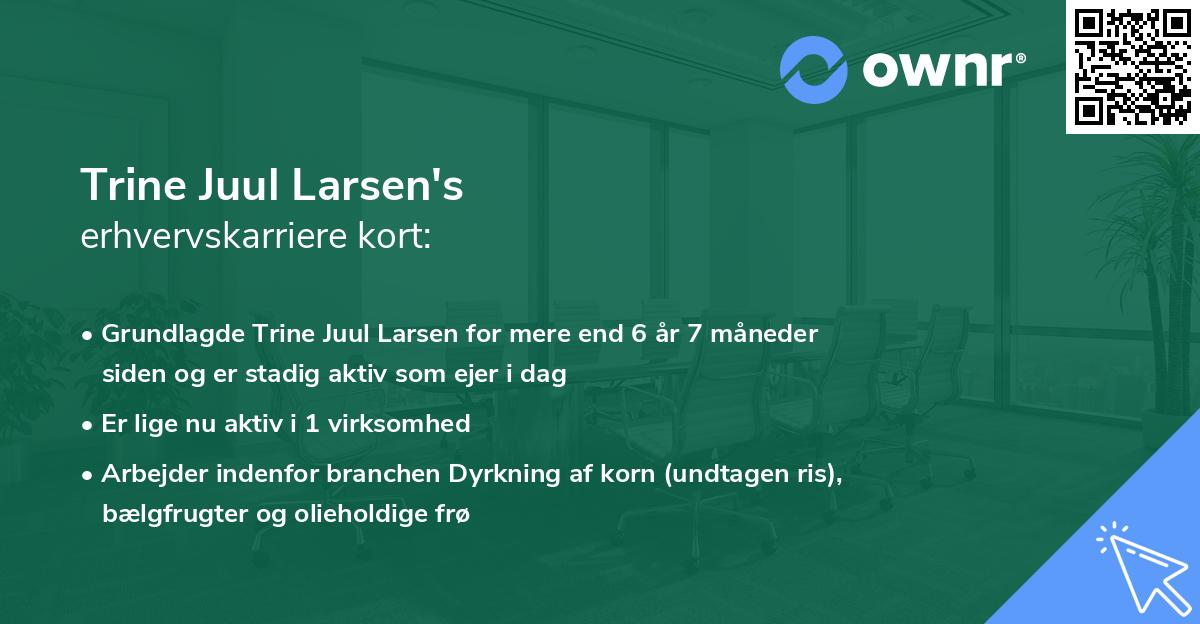 Trine Juul Larsen's erhvervskarriere kort