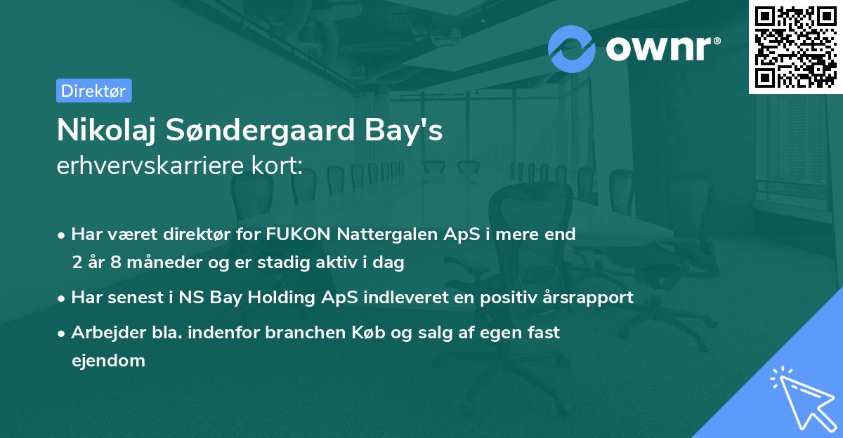 Nikolaj Søndergaard Bay's erhvervskarriere kort