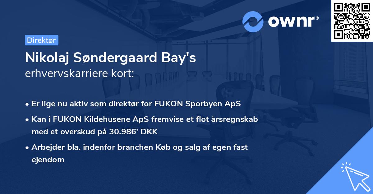 Nikolaj Søndergaard Bay's erhvervskarriere kort